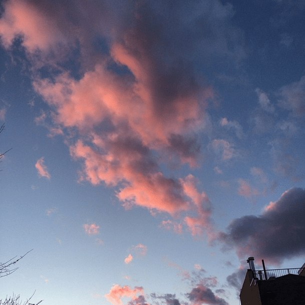 Photo Of The Day: Pink Clouds