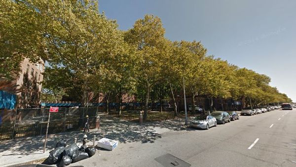 Man Shot In Back At Sheepshead-Nostrand Houses, Gunman On The Loose