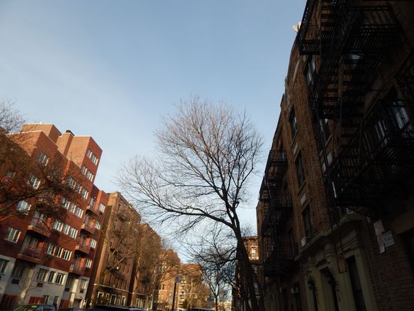 Tenants Could See City’s First-Ever Rent Freeze This June