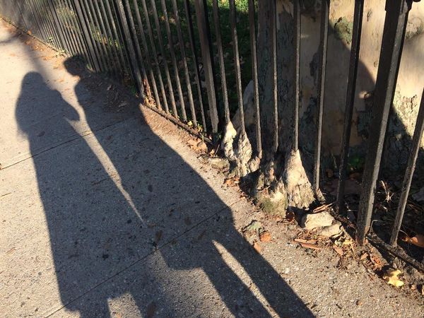 Morning Mug: Don’t Fence Me In