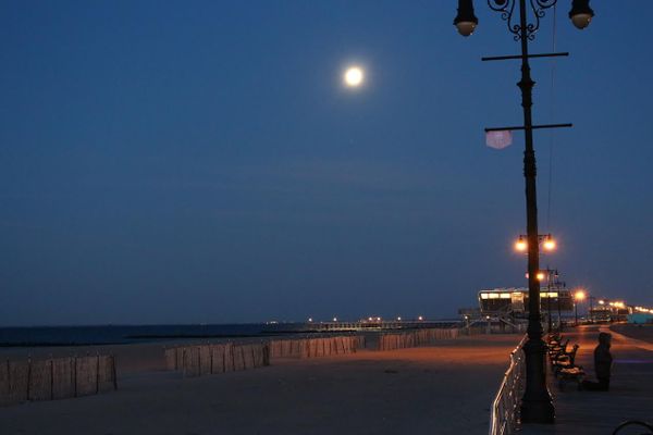 Morning Mug: Moonstruck