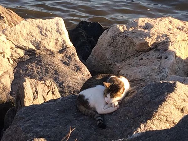 Weekend Reading: Brooklyn Stories You May Have Missed