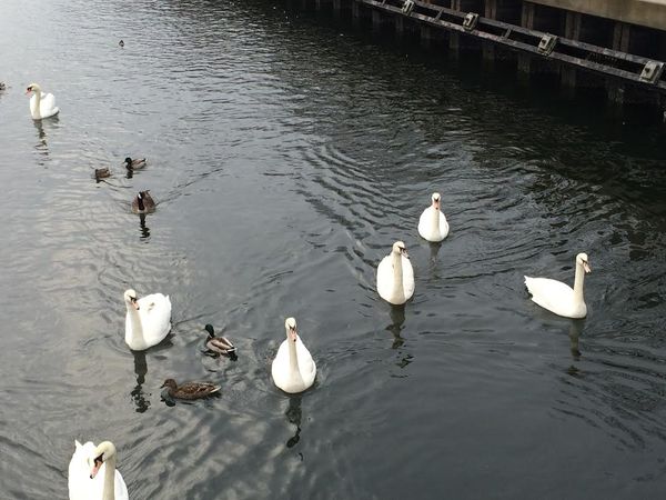 Morning Mug: There Goes The Neighborhood