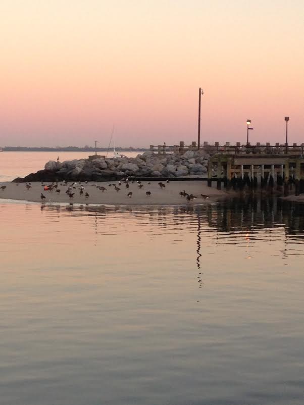 Puzzle: Spring Is In The Air