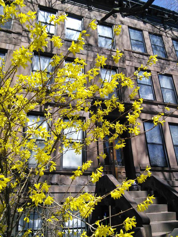 Photos Of The Day: In Bloom