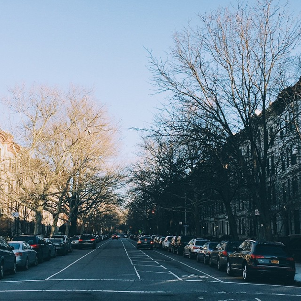 Photo Of The Day: Spring?