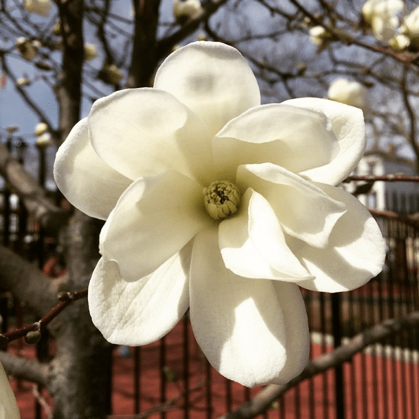 Photo Of The Day: Bloom!