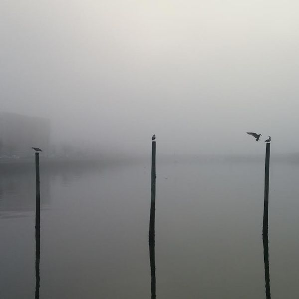 Morning Mug: I Tried To Grab Fog, But I Mist