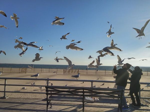 Morning Mug: “If I Had To Choose, I Would Rather Have Birds Than Airplanes.” — Charles Lindbergh