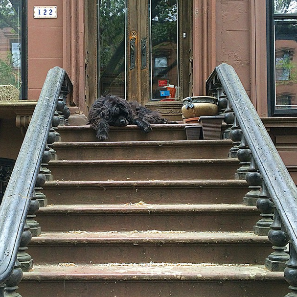 Photo Of The Day: The King