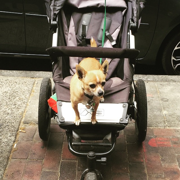 Photo Of The Day: What Baby?