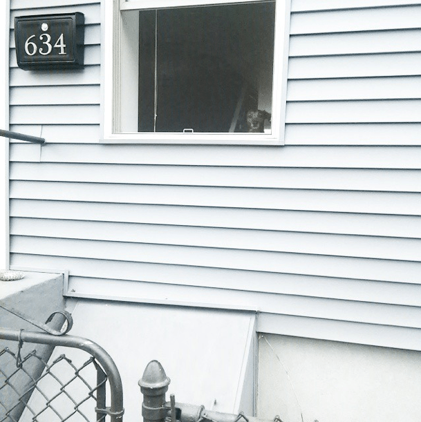 Photo Of The Day: Hey, Neighbor