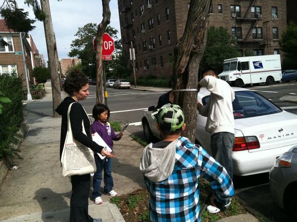 Volunteer To Help Map Street Trees With Trees Count 2015