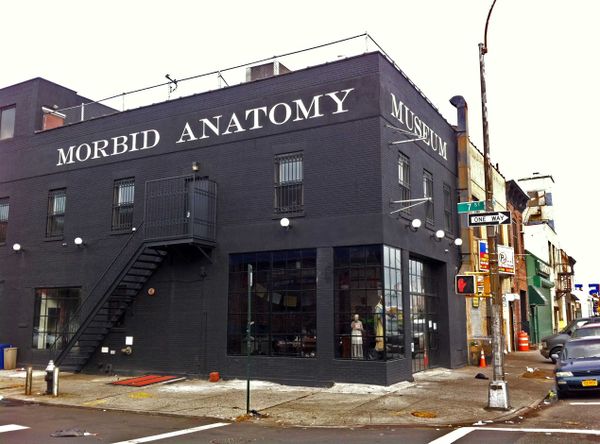 Where The Brooklyn Spirits Play: The Morbid Anatomy Museum Celebrates Its One-Year Anniversary