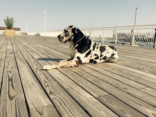 Weekend Reading: Brooklyn Stories You May Have Missed