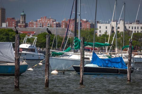 Morning Mug: “We May Have All Come On Different Ships, But We’re In The Same Boat Now.” — Dr. Martin Luther King, Jr.