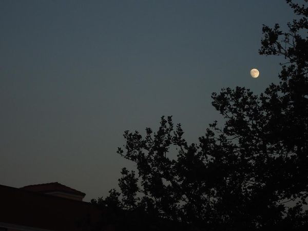 Morning Mug: “I’ve Never Seen A Moon In The Sky That, If It Didn’t Take My Breath Away, At Least Misplaced It For A Moment.” — Colin Farrell
