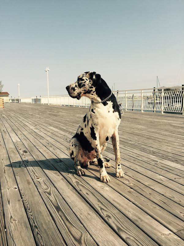 Morning Mug: Because Sometimes We Need A Little Biggie To Brighten Up Our Day