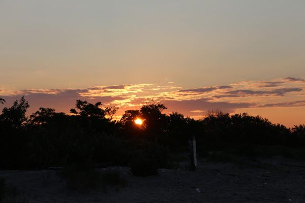 Morning Mug: “Thank God Men Cannot Fly, And Lay Waste The Sky As Well As The Earth.” ― Henry David Thoreau