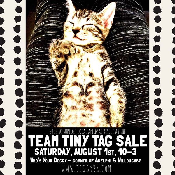 Things To Do This Weekend, Through August 2: Target First Saturday, Team Tiny Tag Sale, And “To Wong Foo…”