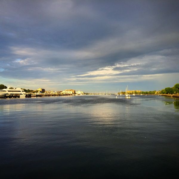 Puzzle: “One Touch Of Nature Makes The Whole World Kin.” — William Shakespeare (Troilus and Cressida, Act III, Scene III)