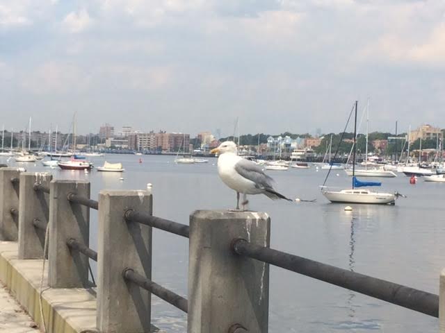 Morning Mug: “When The Seagulls Follow The Trawler, It Is Because They Think Sardines Will Be Thrown Into The Sea.” — Eric Cantona