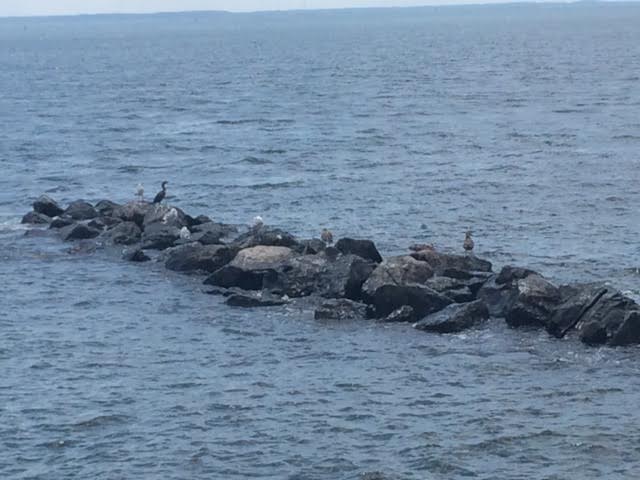 Morning Mug: “If It Weren’t For The Rocks In Its Bed, The Stream Would Have No Song.” — Carl Perkins