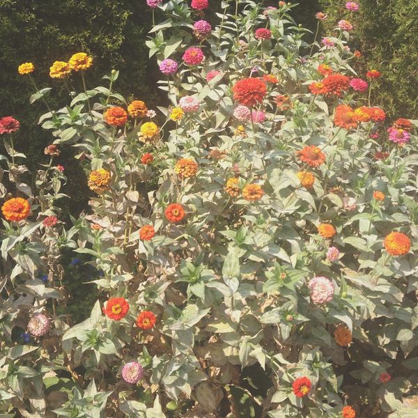 Photo Of The Day: Colorful