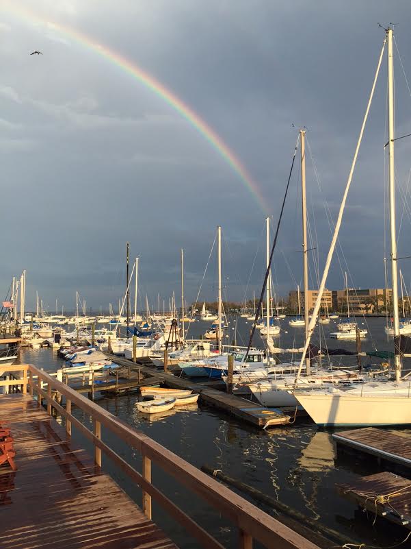 Morning Mug: “Somewhere, Over The Rainbow, Way Up Tall, There’s A Land Where They’ve Never Heard Of Cholesterol.” — Allan Sherman