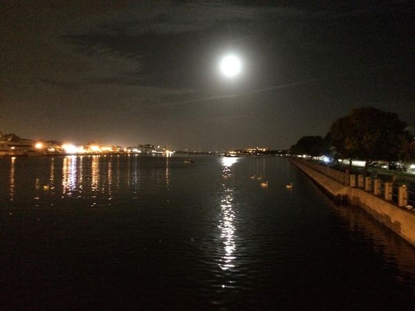 Puzzle: “Follow Your Inner Moonlight; Don’t Hide The Madness.” — Allen Ginsberg