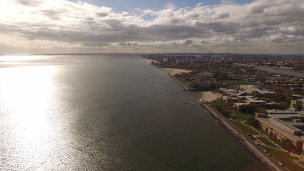 Morning Mug: “My Life Has Been A Tapestry Of Rich And Royal Hue, An Everlasting Vision Of The Ever Changing View.” — Carole King