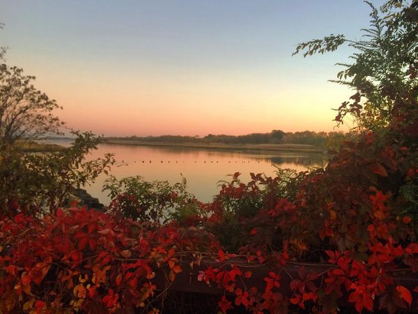 Morning Mug: “Now Autumn’s Fire Burns Slowly Along The Woods, And Day By Day The Dead Leaves Fall And Melt.” — William Allingham