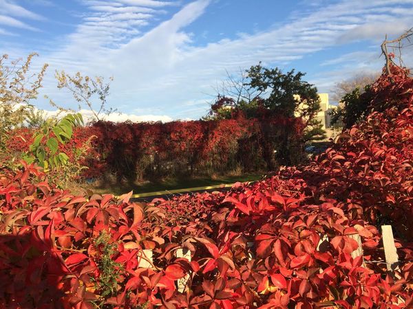 Morning Mug: “Aprils Have Never Meant Much To Me, Autumns Seem That Season Of Beginning, Spring.” ― Truman Capote (Breakfast At Tiffany’s)