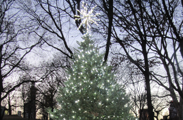 Meet Santa At Fort Greene Park’s Second Annual Holiday Tree Lighting