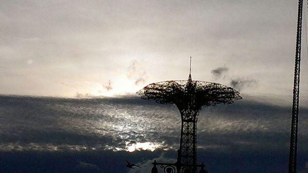 Weekend Reading: Brooklyn Stories You May Have Missed