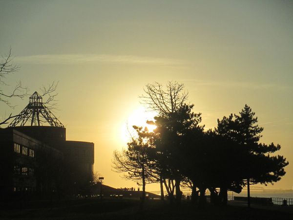 Morning Mug: “A Day Without Sunshine Is Like, You Know, Night.” — Steve Martin