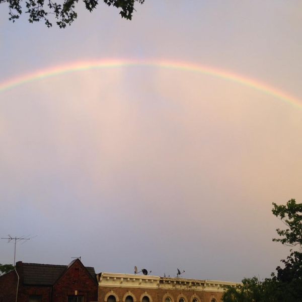 Weekend Reading: Brooklyn Stories You May Have Missed