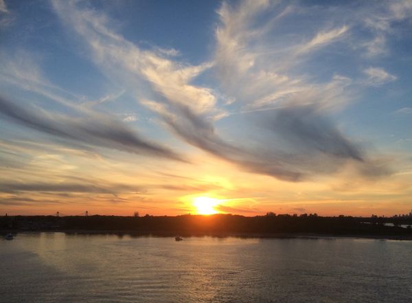 Morning Mug: “Follow Your Bliss And The Universe Will Open Doors Where There Were Only Walls.” — Joseph Campbell