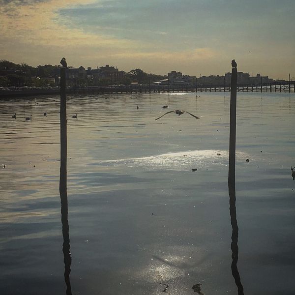 Morning Mug: “The Best Way To Cheer Yourself Up Is To Try To Cheer Somebody Else Up.” — Mark Twain