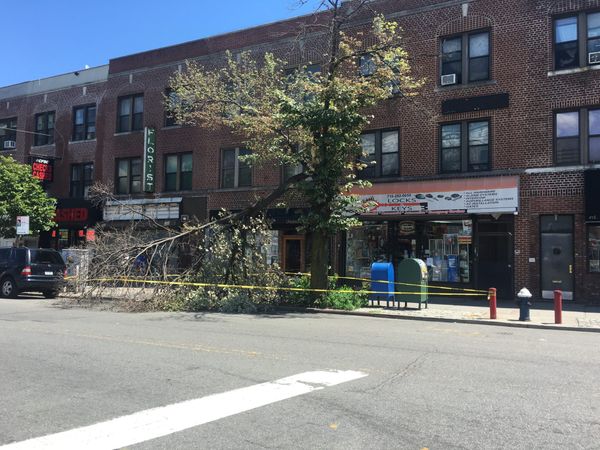 Trees & Branches Down After Brief But Fierce Storm On Monday [Video]