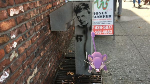 Catch Charizard On Church Avenue At The Lure Party Flatbush