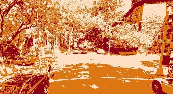 Selling Ditmas Park Eggs: One Teen’s Struggles Making A Profit With Backyard Chickens