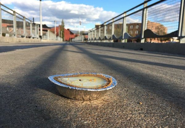 Where To Buy Your Thanksgiving Pie In Brooklyn