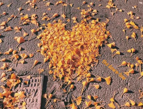 The Down-Low: Meat Cleavers And Sucker Punches Over Election, Beautiful Seahorse, And Other Stories You Shouldn’t Miss