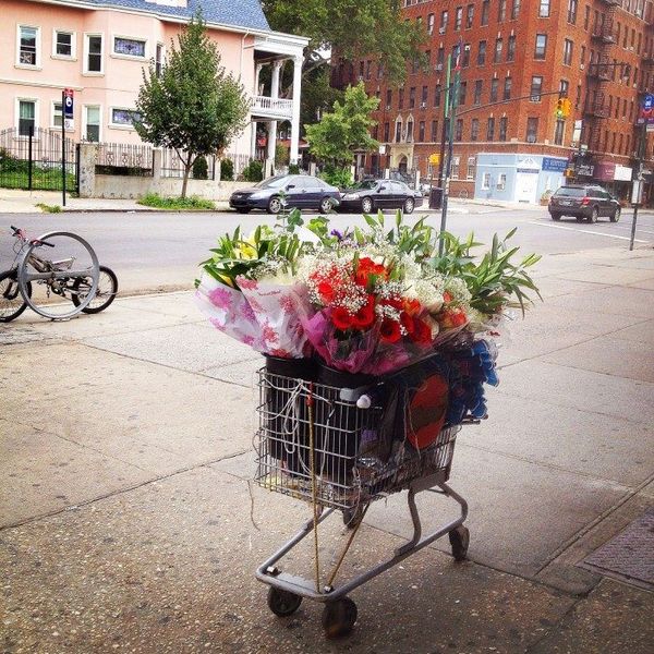 The Down-Low: Where Do Bodega Flowers Come From & Other Stories You Shouldn’t Miss