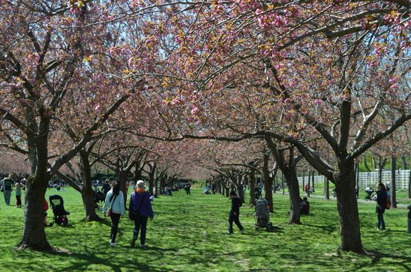 Down-Low: Judge Blocks Trump’s Effort To Withhold From Sanctuary Cities & Other Stories You Shouldn’t Miss