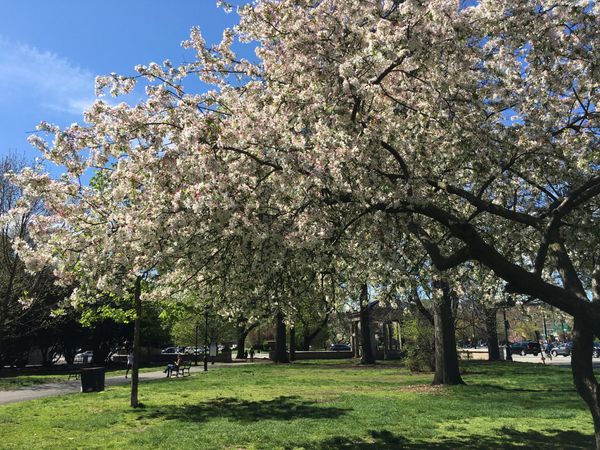 The Down-Low: Bury Your Secrets At Green-Wood Cemetery & Other Stories You Shouldn’t Miss