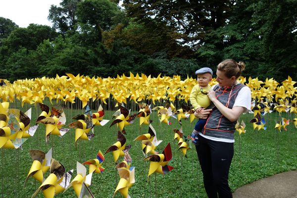 Prospect Park’s ‘Secret Garden’ Comes Alive With 7,000 Pinwheels