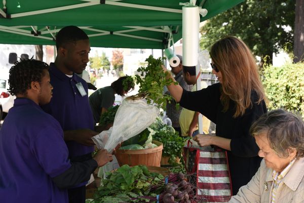 Bushwick Farm Stand Provides Fresh Produce and Job Skills to Locals