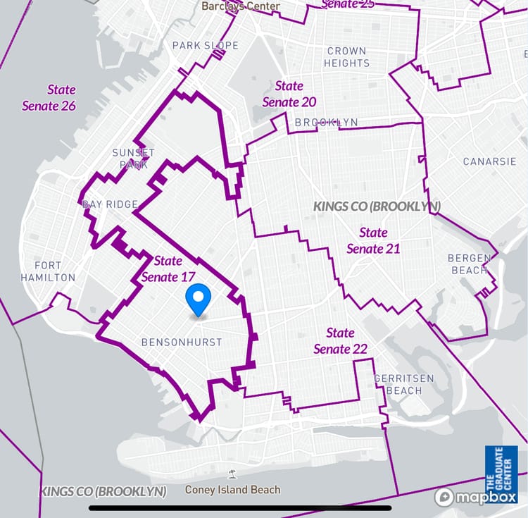 Iwen Chu Is Primed To Win The New Brooklyn Senate District 17